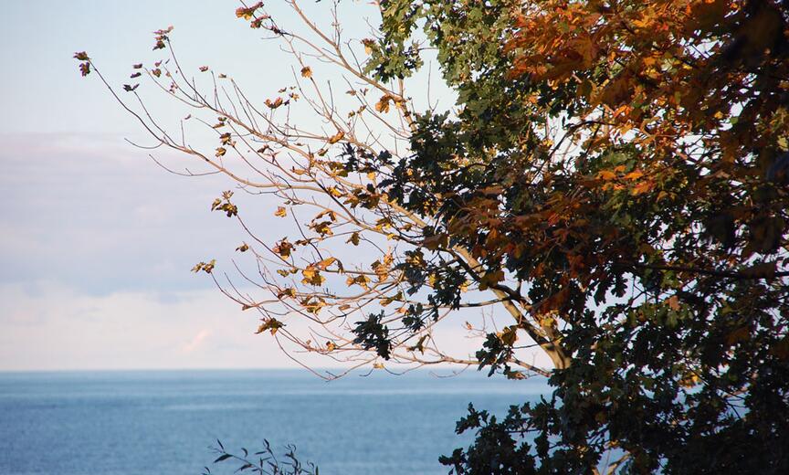 Blick aufs Meer im Herbst. Foto: Kolberg-Café