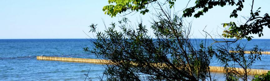 Kolberg: Meer und Strand, ein Baum im Vordergrund. Foto: Kolberg-Café