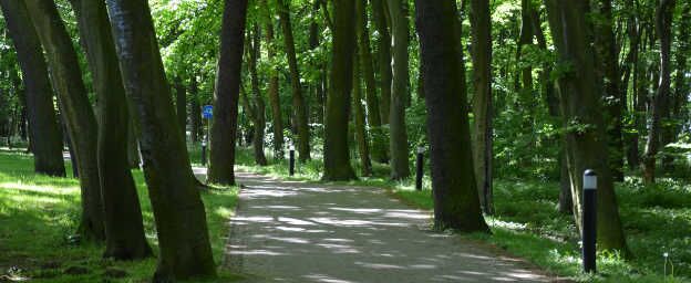 Strandwald-Weg in Kolobrzeg (Kolberg). Foto: Kolberg-Café