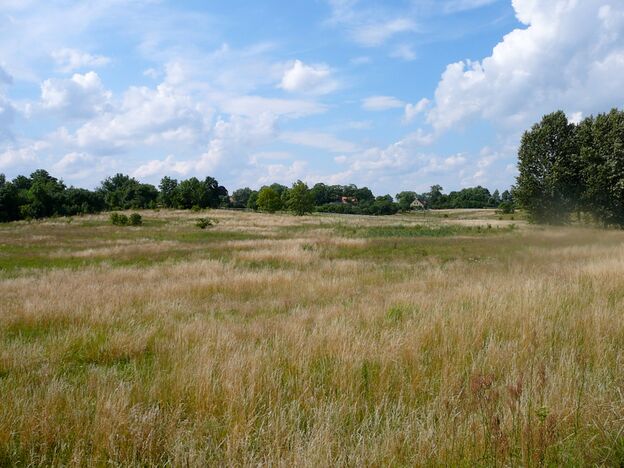 Eine schöne Wiese an einem Campingplatz in Polen. Foto: Kolberg-Café Eine schöne Wiese an einem Campingplatz in Polen. Foto: Kolberg-Café