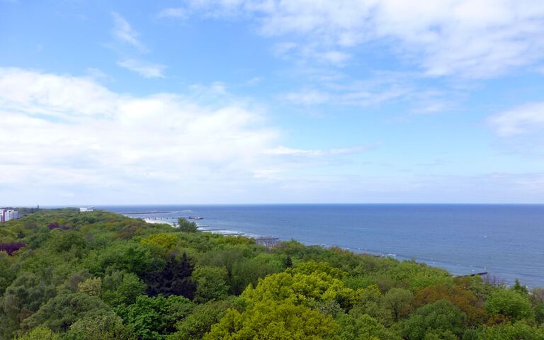 Strandwald und Meer in Kolobrzeg (Kolberg). Foto: Kolberg-Café