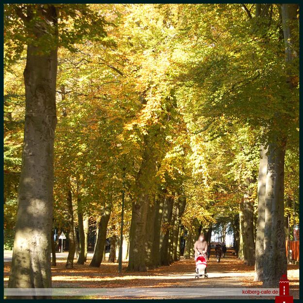 Herbst in Kolberg Herbst in Kolberg