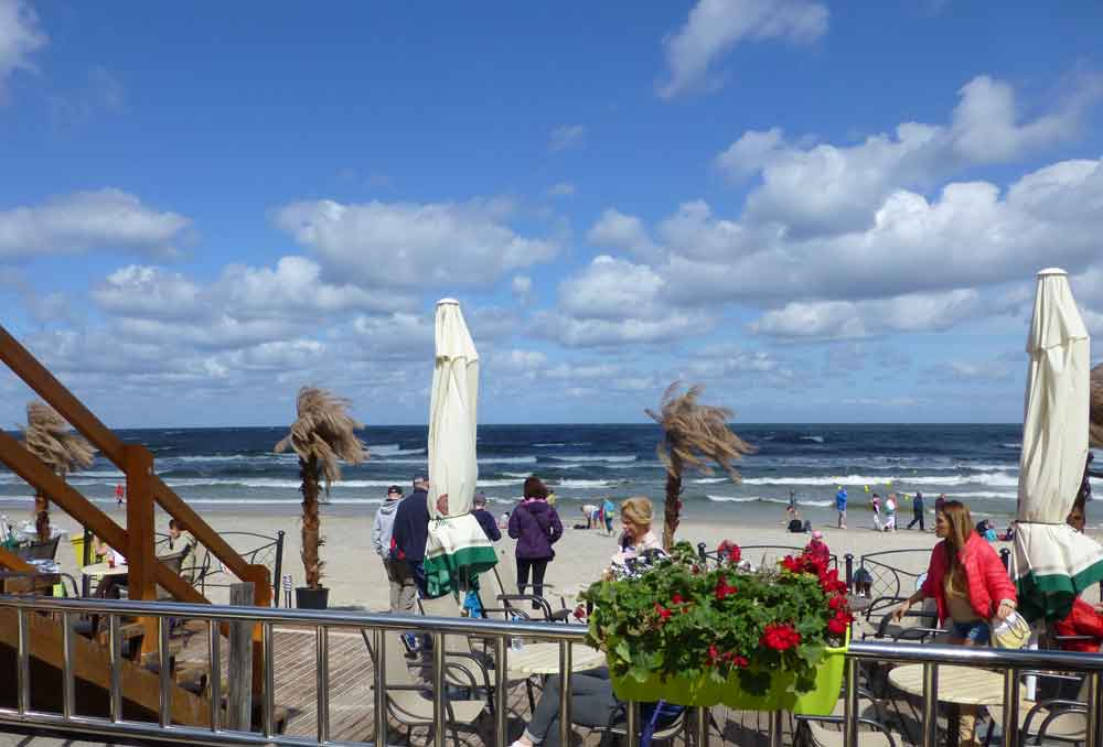 Palmen am Strand. Foto: Kolberg-Café Palmen am Strand. Foto: Kolberg-Café