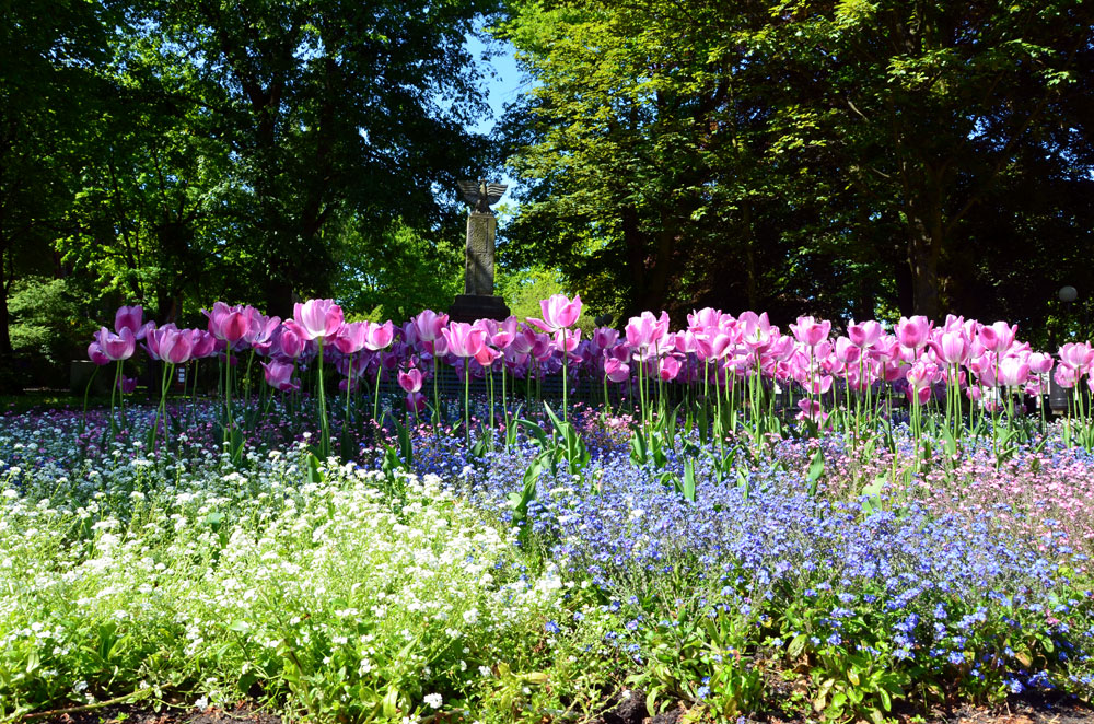 Park in Kolberg. Foto: Kolberg-Café Park in Kolberg. Foto: Kolberg-Café