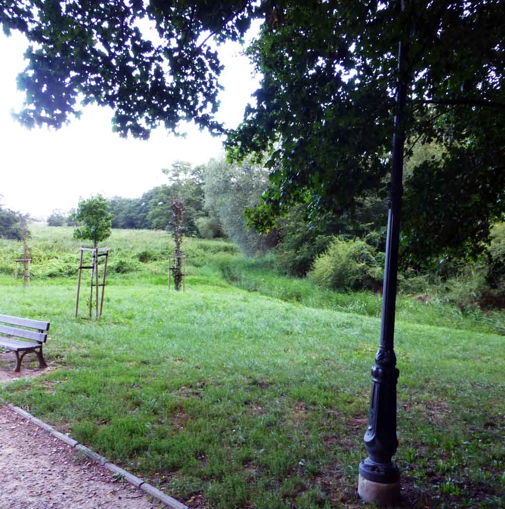 Spazierweg in einem Kolberger Park. Foto: Kolberg-Café Spazierweg in einem Kolberger Park. Foto: Kolberg-Café
